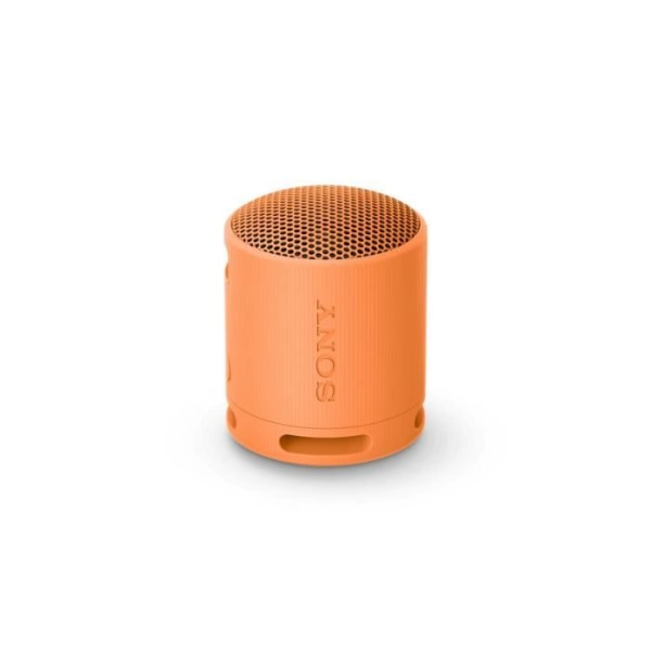 Bärbar Bluetooth-högtalare, 16 timmars batteritid, IP67 vattentät och dammtät, Kraftfullt och tydligt ljud - Handsfree-samtal