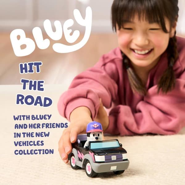 Bil och Bluey figur, slumpmässig modell