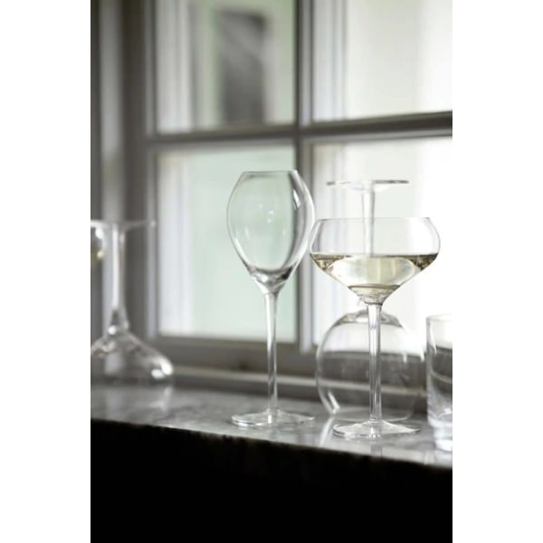 Champagneglas - champagneglas - champagneflöjt Sagaform - 5018264 - Champagneglaslåda