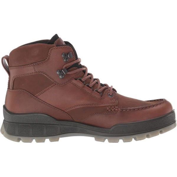 Stövel - stövlar Ecco - 83170452600-915-41 M EU (7-7,5 US) - Män Track 25 Mid GTX Outdoor-skor kastanj 41
