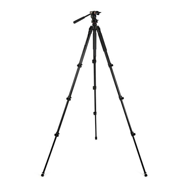 Stativ - Celestron - 82052 Regal Premium - Svart - Hög kvalitet - Stabil
