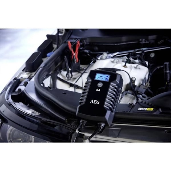 Laddare - AEG - LD6 10617 - 6 V - 12 V - 3 A - 6 A - 1 st.