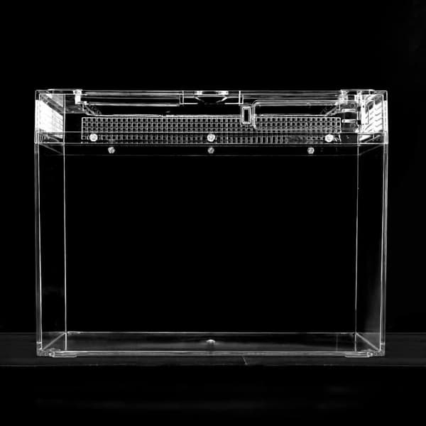 Reptilfoderlåda - QWORK - 30x18x22cm - Transparent - Ventilerad - Säkerhetslås Transparent