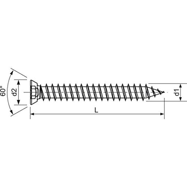 TORX FÖRSÄNKT HUVUD CHASSIS FÖRANKARSKRUV