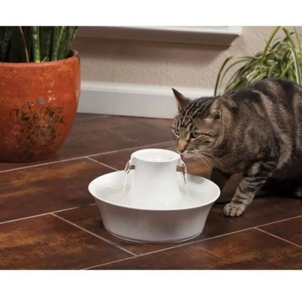 PetSafe - Drinkwell Avalon Ceramic Fountain, filtrerat dricksvatten för hundar och katter, 2 liters vattenkapacitet, vit
