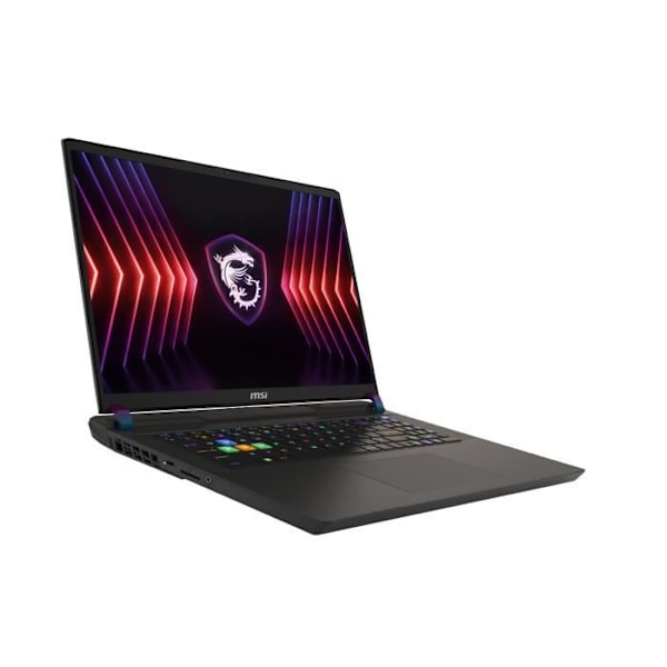 MSI Vector 17 HX Laptop - Intel Core i9 14900HX - 32 GB RAM - 1 TB SSD - RTX 4070 - Windows 11 Svart