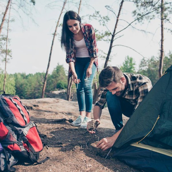 Tältaccessoarer - Relaxdays - Stålnålar - Paket med 100 - Robust fäste - Silverfärgade silver-