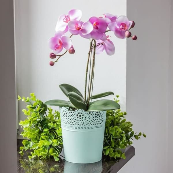 Blomkruka - Prosperplast - Dentelle - Färg Mocca - 16 cm - 18,5 cm mocca