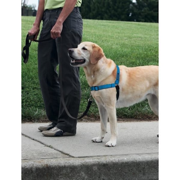 PetSafe - Deluxe Easy Walk hundsele (L), reflekterande, bekväm, resistent, lätt att använda, Anti-Pull - Blå Blå