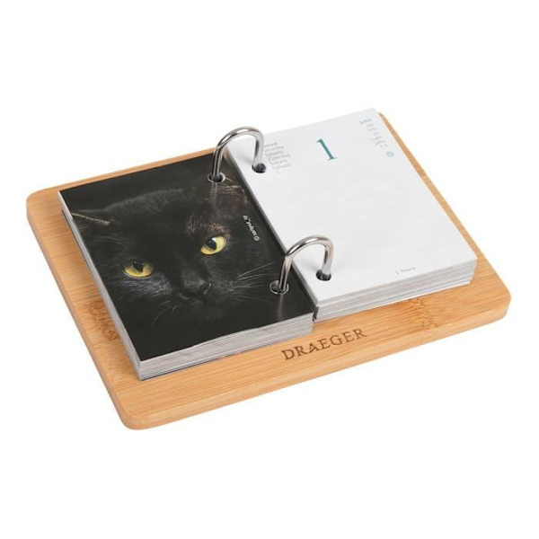 Ephemeris Box Diary Yvon Cats - 2023 - Draeger Paris