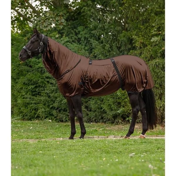 Insektskydd/ sommar för häst Waldhausen Basic - mocca - Brun - 145 cm mocca
