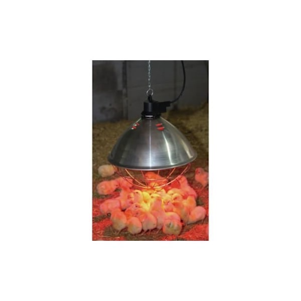 Projektor Infraröd lampa - Märke - Modell - Karakteristisk 1 - Karakteristisk 2 - Karakteristisk 3