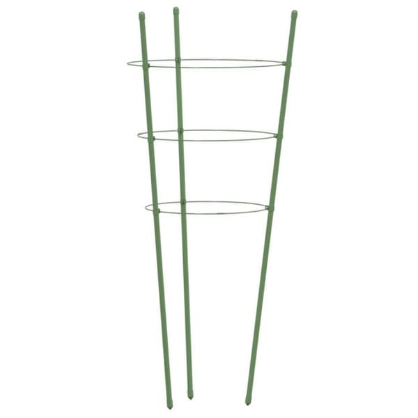 Stöd för trädgårdsväxter 3 ringar 5 st Grön 60 cm Stål Grön