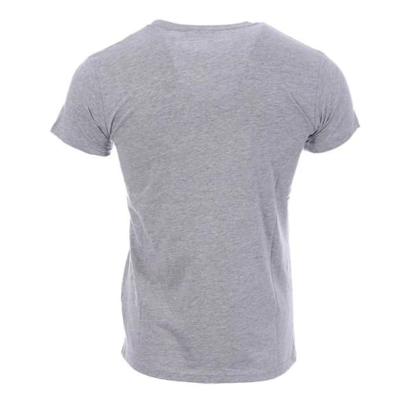 Grå T-shirt herr Schott NYC broderad grå M