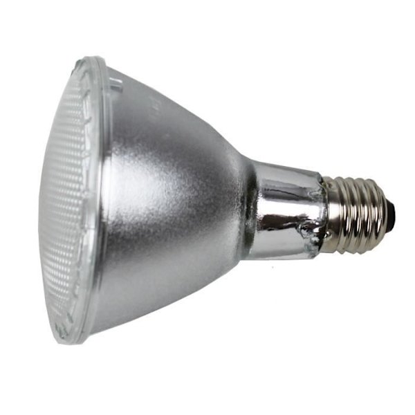 Belysning för reptiler Neo Day Halogen 50 W REPTILES-PLANET