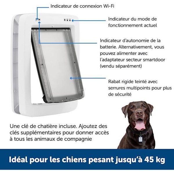 PetSafe SmartDoor ansluten dörr, flera husdjur, stora Grå