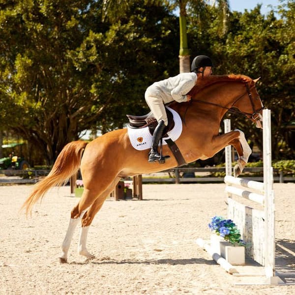 Ariat Devon ridstövlar svart 42 1/2