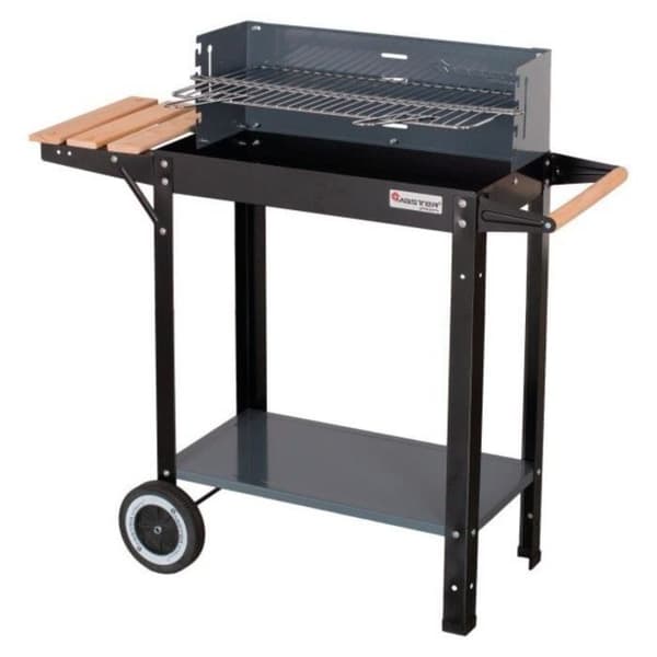 Grill - Master Grill - Rektangulär kolplatta - 1200 cm2 - 5,6 kg Svart