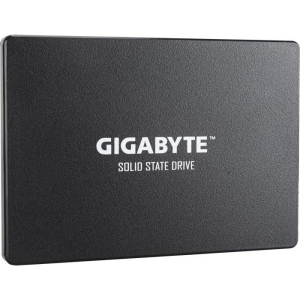 GIGABYTE - Intern Solid State Drive - 256 GB - 2,5" (GP-GSTFS31256GTND)