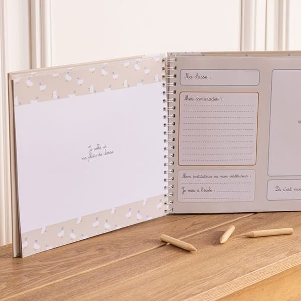 Album med 12 klassfoton beige