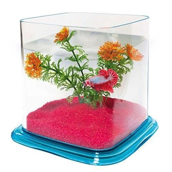 ICA Betta Betta Paradise - PT072D