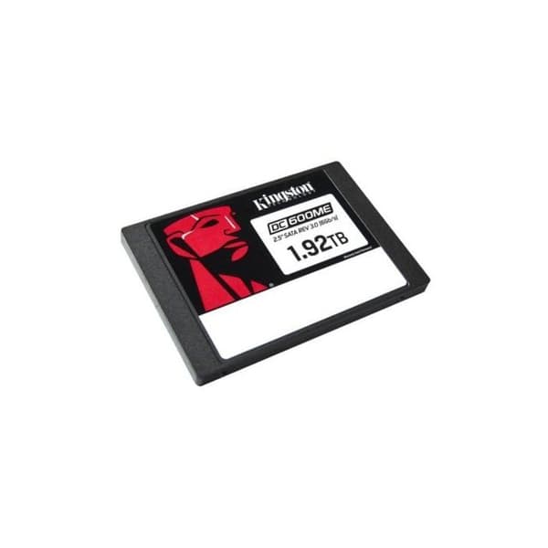 KINGSTON 1920Go DC600ME Bland-