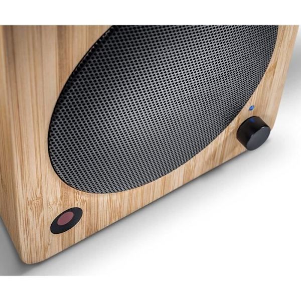 Högtalare Högtalare - WAVEMASTER Cube Mini Neo Bamboo - Bluetooth 2.1 - 36 W - Brun Bambu
