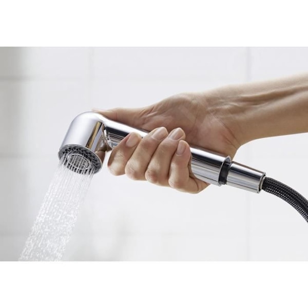 BLANCO WEGA S - DISKBLANDARE MED UTTAGBAR SPRAY, SVART - C