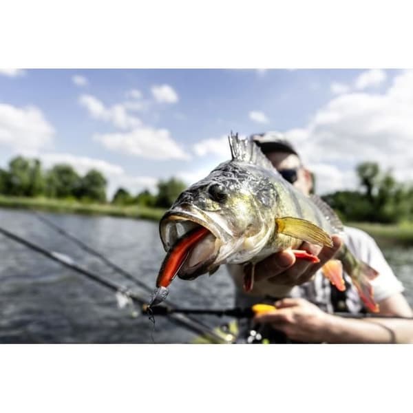 5-pack Quantum 4street B-Ass Shad - grå/vit - 11 cm