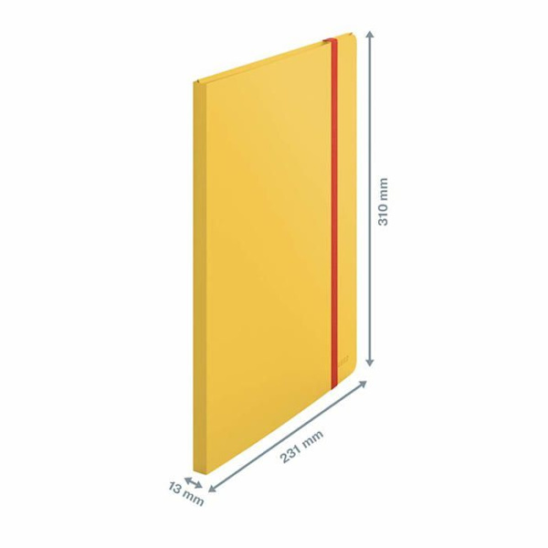 Skyddsdokument A4 - Leitz - 46700019 - 20 Fickor - Kapacitet 40 Ark - Gul Gul