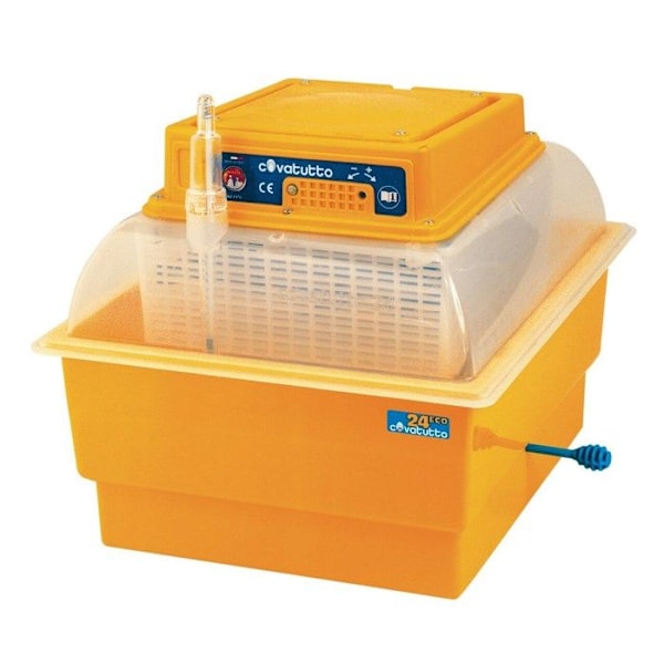 Halvautomatisk inkubator - Covatutto - Maxi 24 ägg - Gul - Interiör - Multi-Species gul