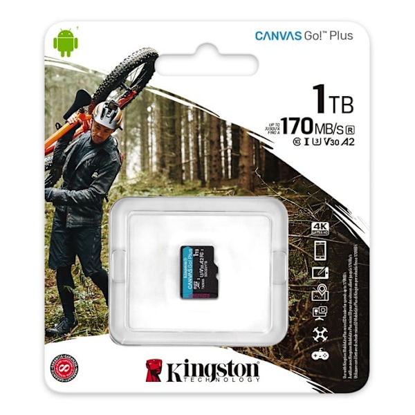 1TB microSD Canvas Go Plus-kort utan ADP