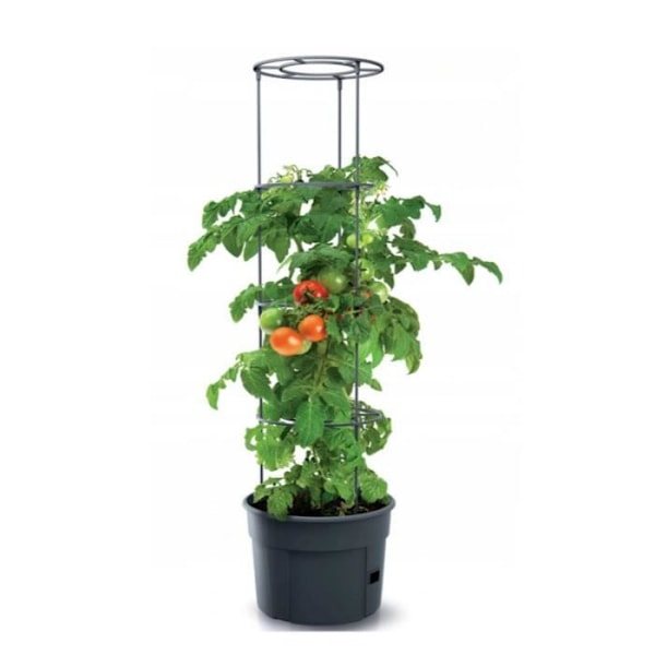 Kruka för tomatplantor 12L Tomatodlare IPOM300-S433 Svart