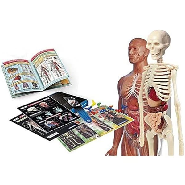 ANATOMILABORATORIUM