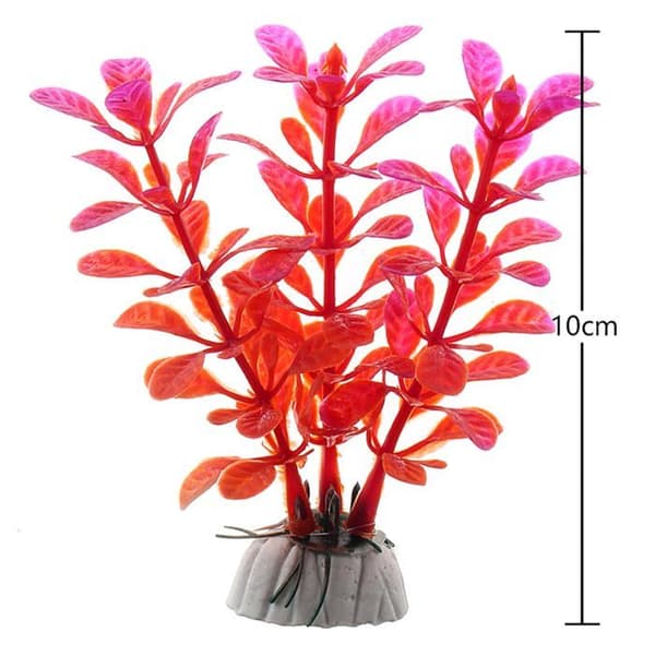 Akvarieväxt - vivarium - terrarium - växtdekoration - substrat - rot - trä Orgmemory
