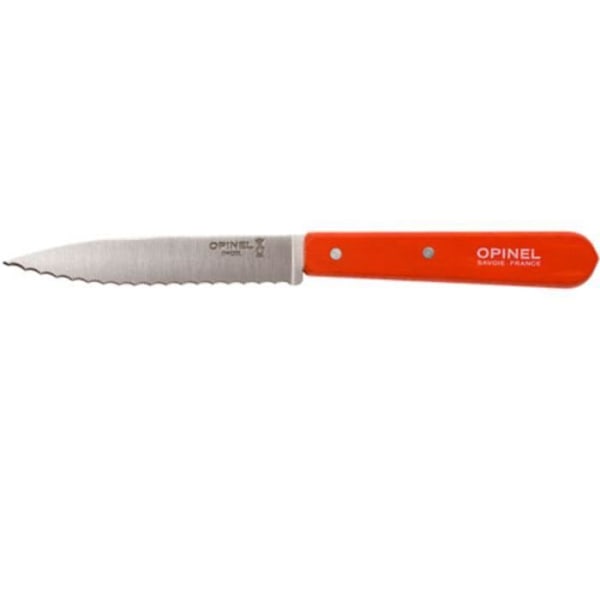 Tandkniv - Opinel - N° 113 - Rostfritt Stål - Klinge 10 cm - Mikro-tandning