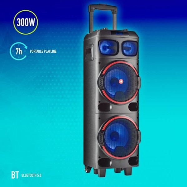 Bärbar högtalare - NGS - WILD DUB 1 - 300W - Bluetooth - True Wireless - Svart Svart
