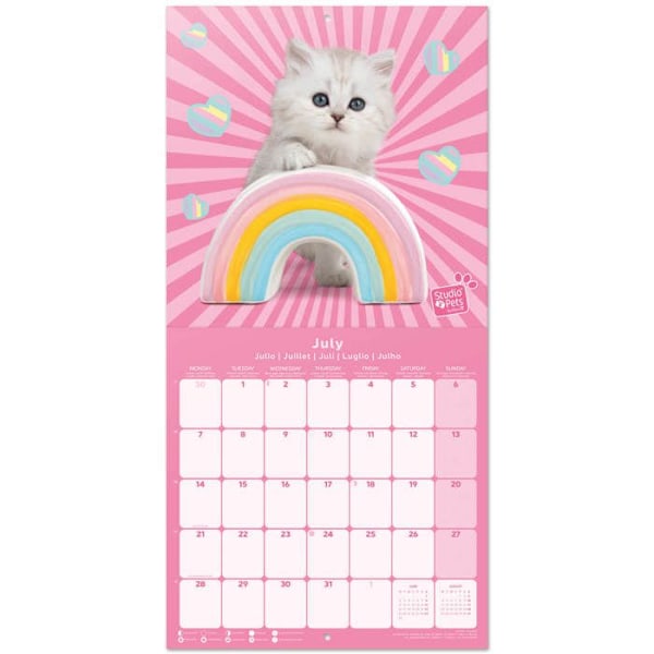 2025 Studio Pets Kattungar Väggkalender