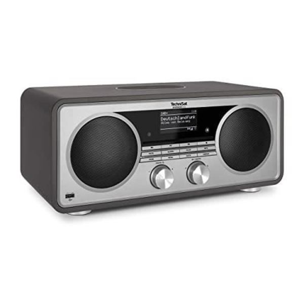 TECHNISAT DIGITRADIO 602 ANTRACIT-SILVER 0000-3987