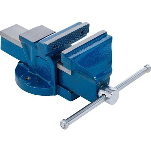 Etau - skruvklämma - gräshoppa Bgs - 58260 - Parallell skruvklämma - käftar 100 mm