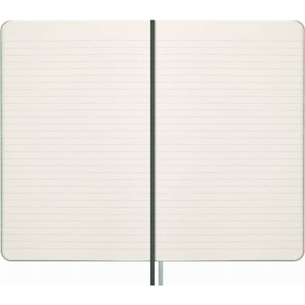Moleskine Snake Notebook 2025, L, syntetiskt ormskinn, linjerad, 13 x 21 cm, i en låda, grön