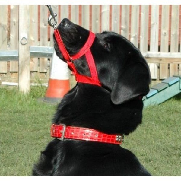 Halti Educational Anti-Pull Training Grimma för hundar Storlek 2 Svart