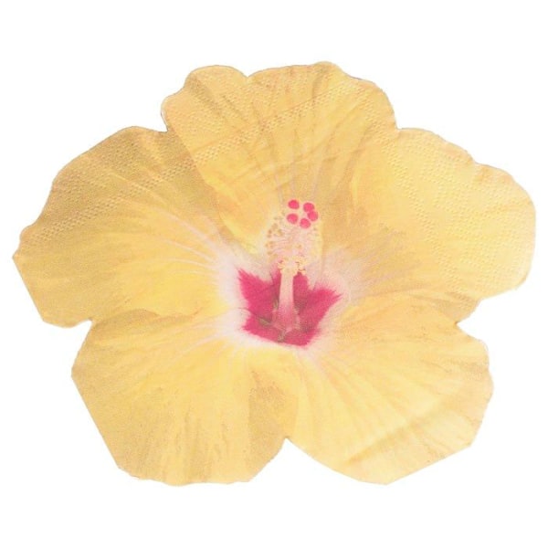 Ginger ray engångstallrik - TI-111 - Hawaiian tropiskt blommönster pappersservetter, gul, 16,5 cm