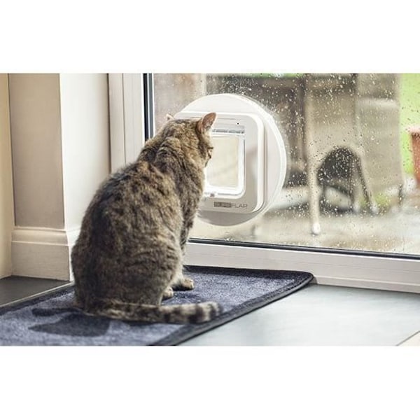 SUREFLAP Microchip Cat Flap - Vit - 142mm x 120mm (Memorering av upp till 32 chips) Vit