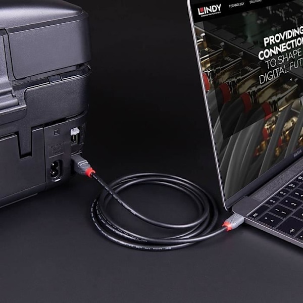 USB 2.0 Typ C till B - Lindy - 3m - Svart - PVC - Guldpläterad kontakt