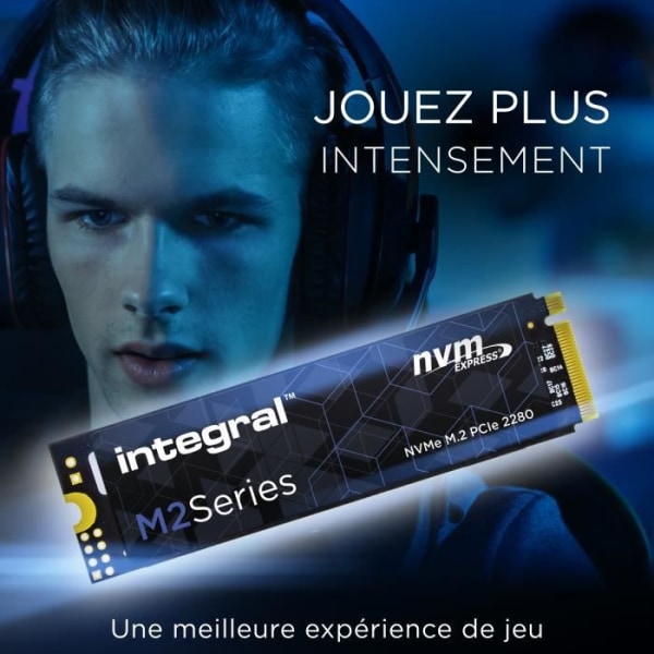 INTEGRAL - Intern Solid State Drive - M2 SERIES M.2 2280 PCIE NVME- 512Go - M.2 NVMe PCIe Gen3x4 (INSSD512GM280NM2)
