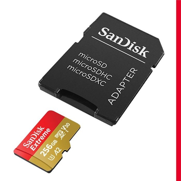 Minneskort - SANDISK - Extreme 256 GB - Klass 3 - Stöttålig och vattentät