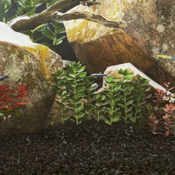 Sable för akvarium 10 kg svart 0,2 2 mm