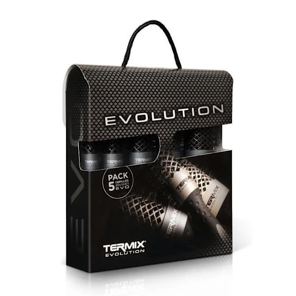 LÅDA MED 5 TERMIX EVOLUTION PLUS BORSTAR