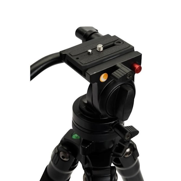 Stativ - Celestron - 82052 Regal Premium - Svart - Hög kvalitet - Stabil